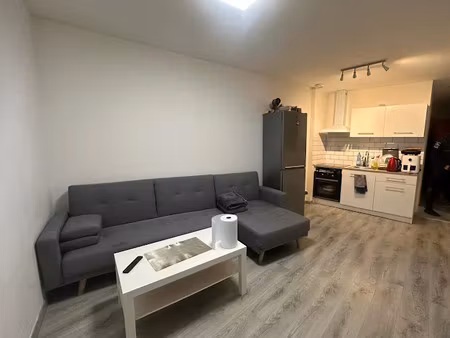location meublée appartement 2 pièces 39 m² à roubaix (59100)  600 €