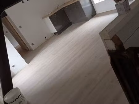 1 appartement ( copropriété)