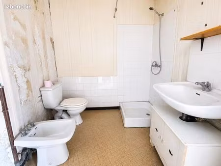 immeuble 169 m² graulhet