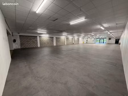 local commercial 550 m² castres