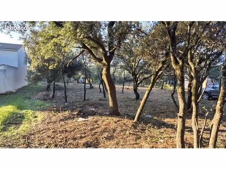 terrain 801 m² grillon