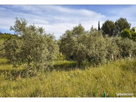 terrain 910 m² caromb