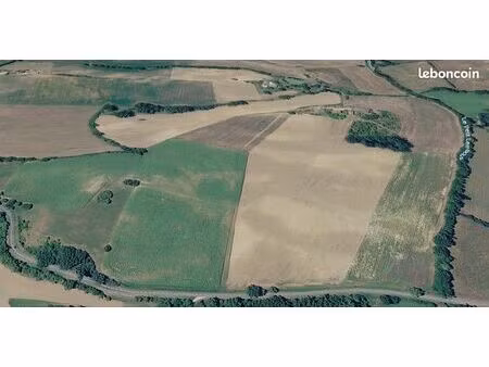 terres agricoles à vendre – 20 ha – auty (82) – quercy blanc