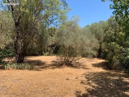 terrain 1 000 m² tourves