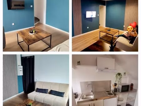 appartement cosy rénové 45 m2  saint laurent sur sèvre