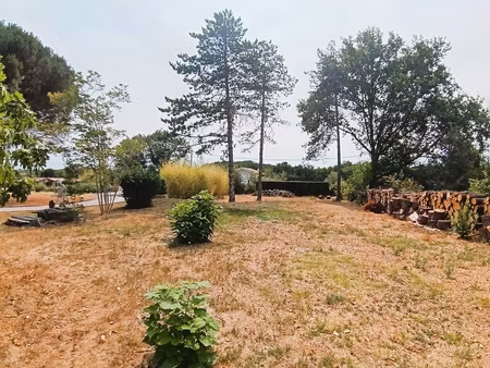 rabastens trés beau terrain arboré en diffus de 1110m2