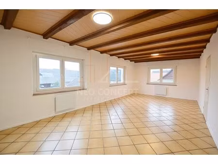 -- spacieux 3 pièces avec terrasse de 55m² --