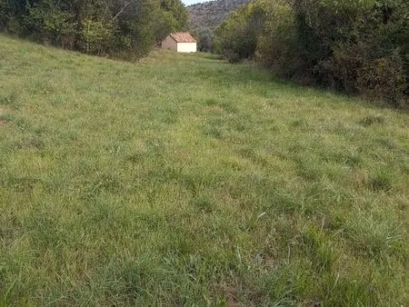 terrain vue dominante