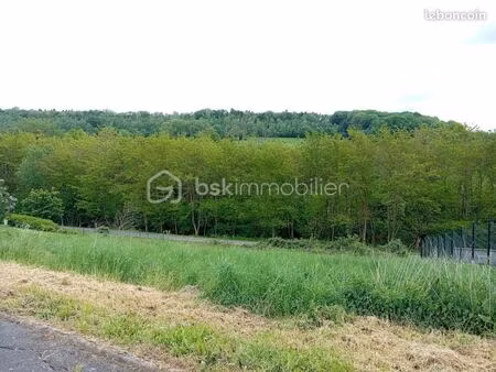 forêt 8 591 m² pouru aux bois