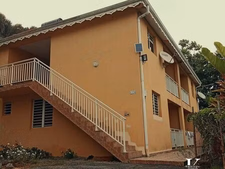 immeuble 240 m² le marigot