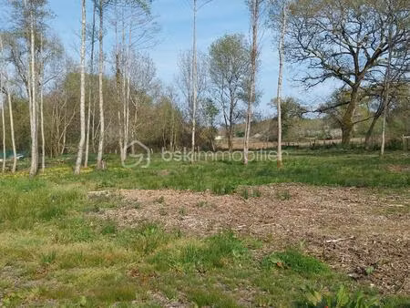 terrain de 2 920 m² à montendre