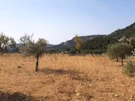 vente terrain à thézan-des-corbières (11200) : à vendre / 2533m² thézan-des-corbières