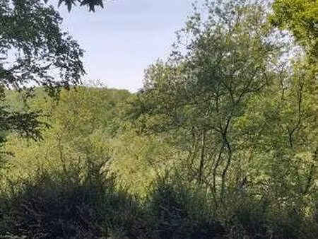 location maison à virey (50600) : à louer / 16m² virey