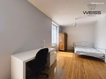 studio 1 pièce 24 m²