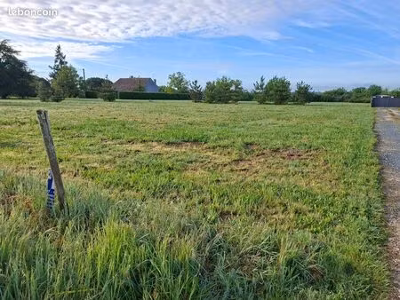 terrain constructible