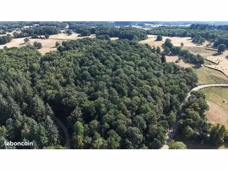 forêt de production de 18 56 ha – un patrimoine forestier d'exception en creuse