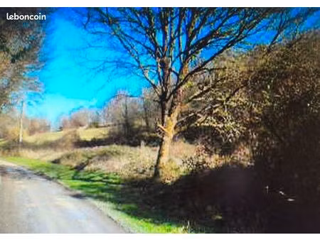 terrain 21 021 m2 champcevinel