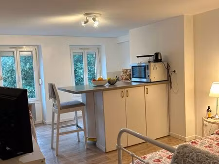 a louer appartement 1 pièce centre ville de brou