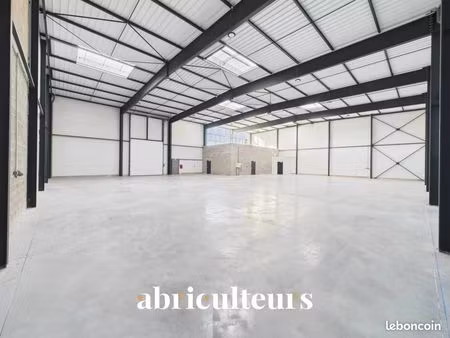 bureau 600 m²