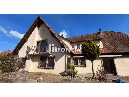 proche benfeld - spacieuse villa de 310 m2