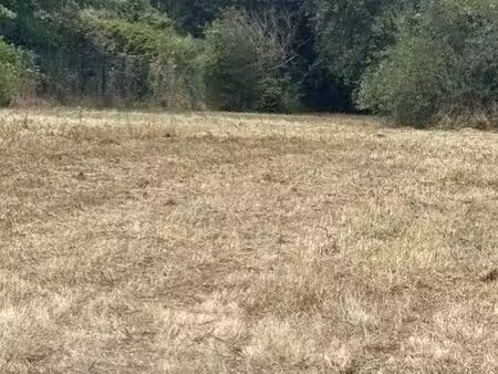 hourtin ville 33990 terrain à bâtir borné et viabilisé de 613 m²