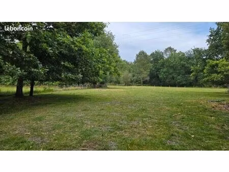 terrain 1 500 m² saint savin