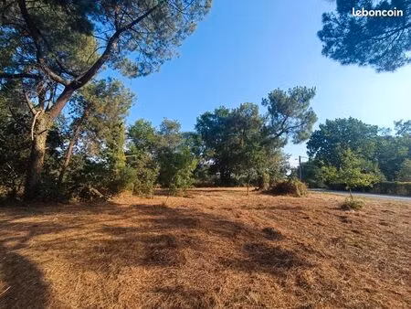 terrain 950 m² martillac