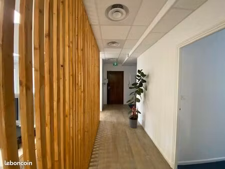 bureaux 250 m² toulouse