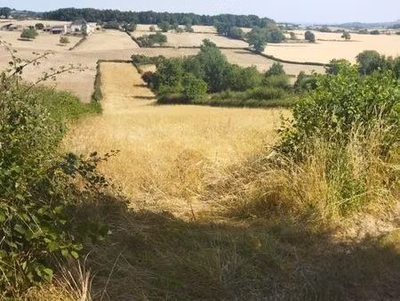 terrain agricole