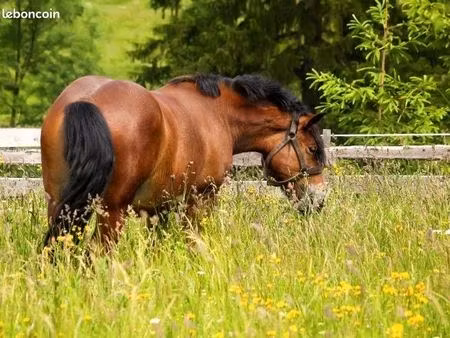 recherche terrain 1 hectare