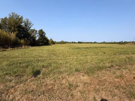 terrain bouliac 1895 m2