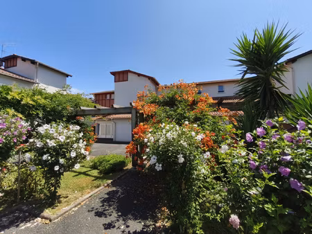 bidart appartement t3 terrasse plein sud vue montagne