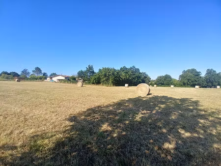 terrain caussade 10569 m2