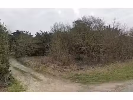 terrain non constructible de 1139 m2