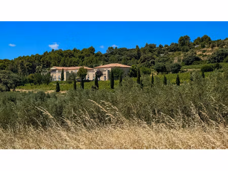 maison 15 pièces - 1100 m²