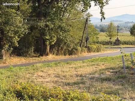 terrain de campagne – vue imprenable sur le mont brouilly – 1 615 m²