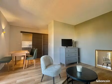 albi  centre-ville. appartement t1 bis meublé