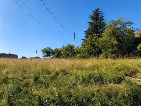terrain gillonnay 458 m2
