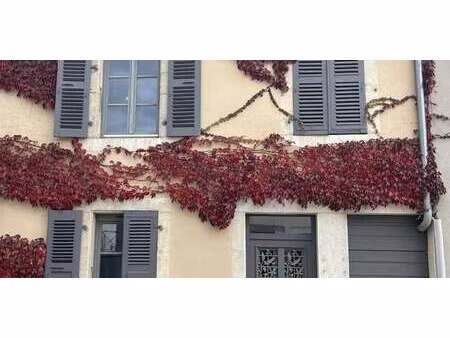 maison avec jardin et terrasse ouest - gex (01)