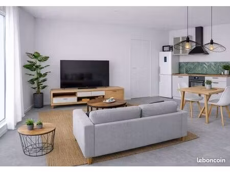 appartement t3 meublé rénové avec terrasse et grand jardin privé  parking privé