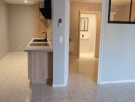 appartement t2 rénové  climatisé  avec cours privé
