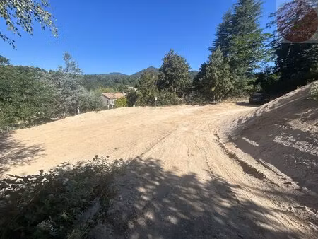 terrain
