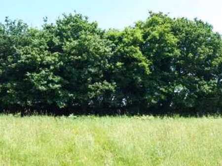 vente terrain à erquy (22430) : à vendre / erquy