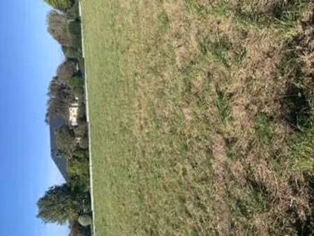 vente terrain à plouzévédé (29440) : à vendre / plouzévédé