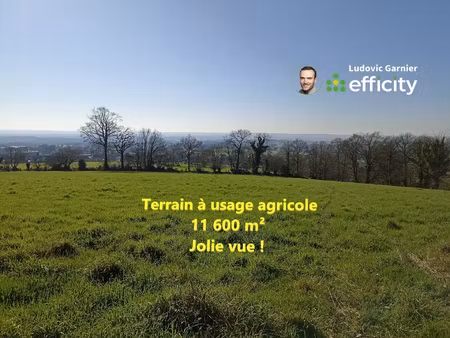 terrain - 11600 m²