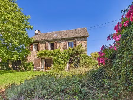 charmante maison en pierre à proximité de lescure-jaoul