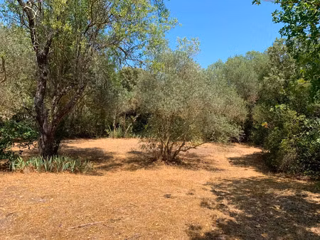 vente terrain neuf 1000m2 tourves - 210000 € - surface privée