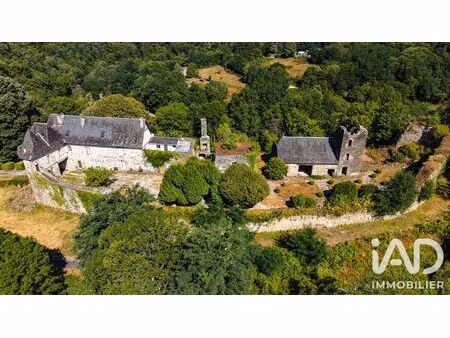 château à orgnac-sur-vézère (19410)