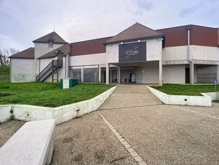 vente immeuble 10 pièces 1400 m² à cangey (37530)  780 000 €