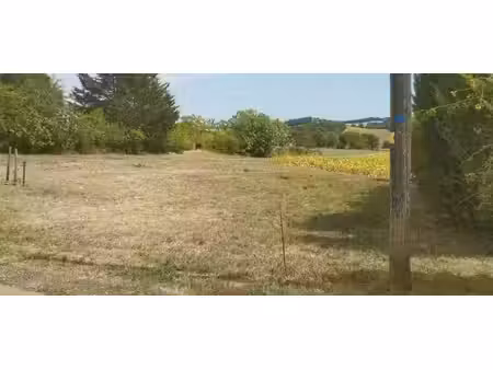 terrain